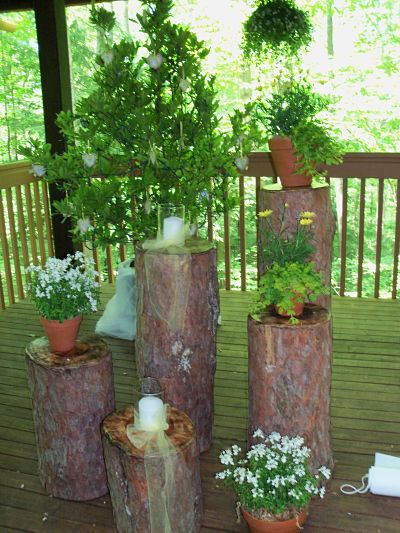 Centerpiece Rentals  Weddings on When Thinking About Wedding Decorations Plant Rentals Are Always An