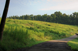 Things To Do in Amish Country Ohio Honoring Family History