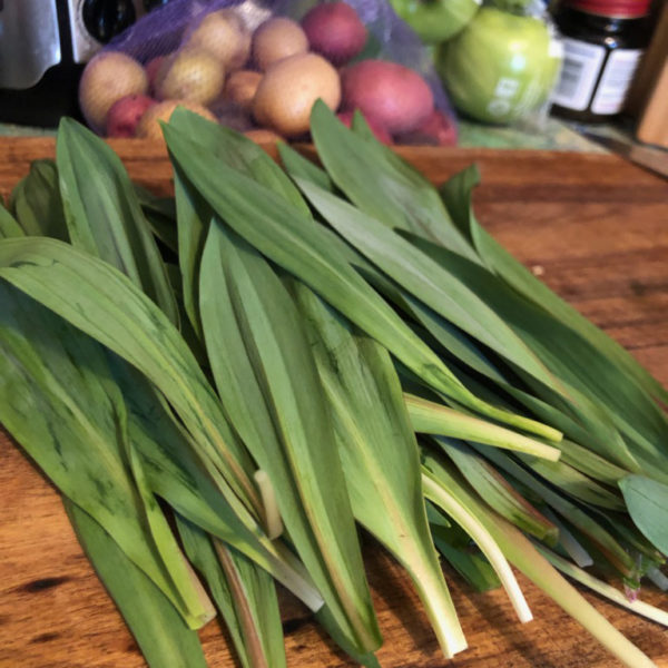 Cooking at Home: Foraged Ramps