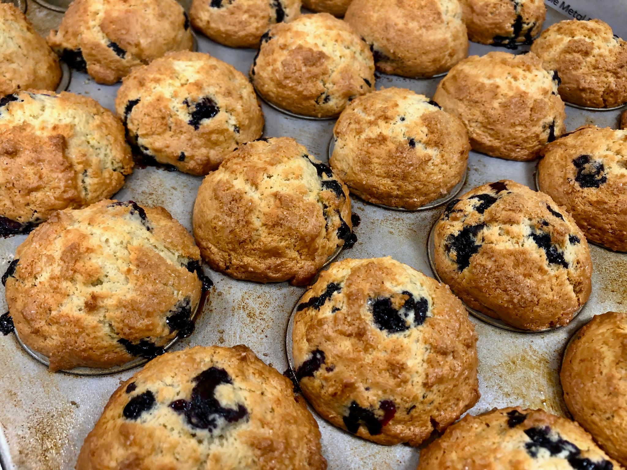 HD formatda yaqindan olingan mushuklar Peri video bilan jinsiy aloqa