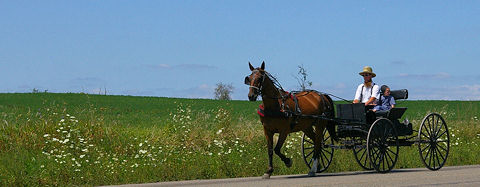 Amish Buggy in front of a field, Ohio