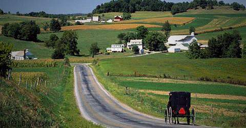 Amish Country Tour in a Buggy