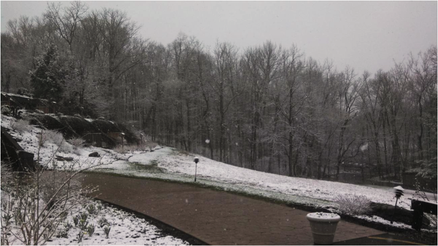 Snowy Ohio morning in April 14, 2014
