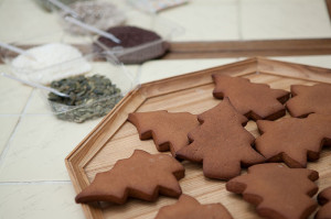 Undecorated Gingerbread cookies