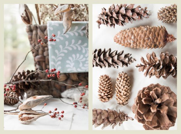 Natural materials for homemade Christmas ornaments