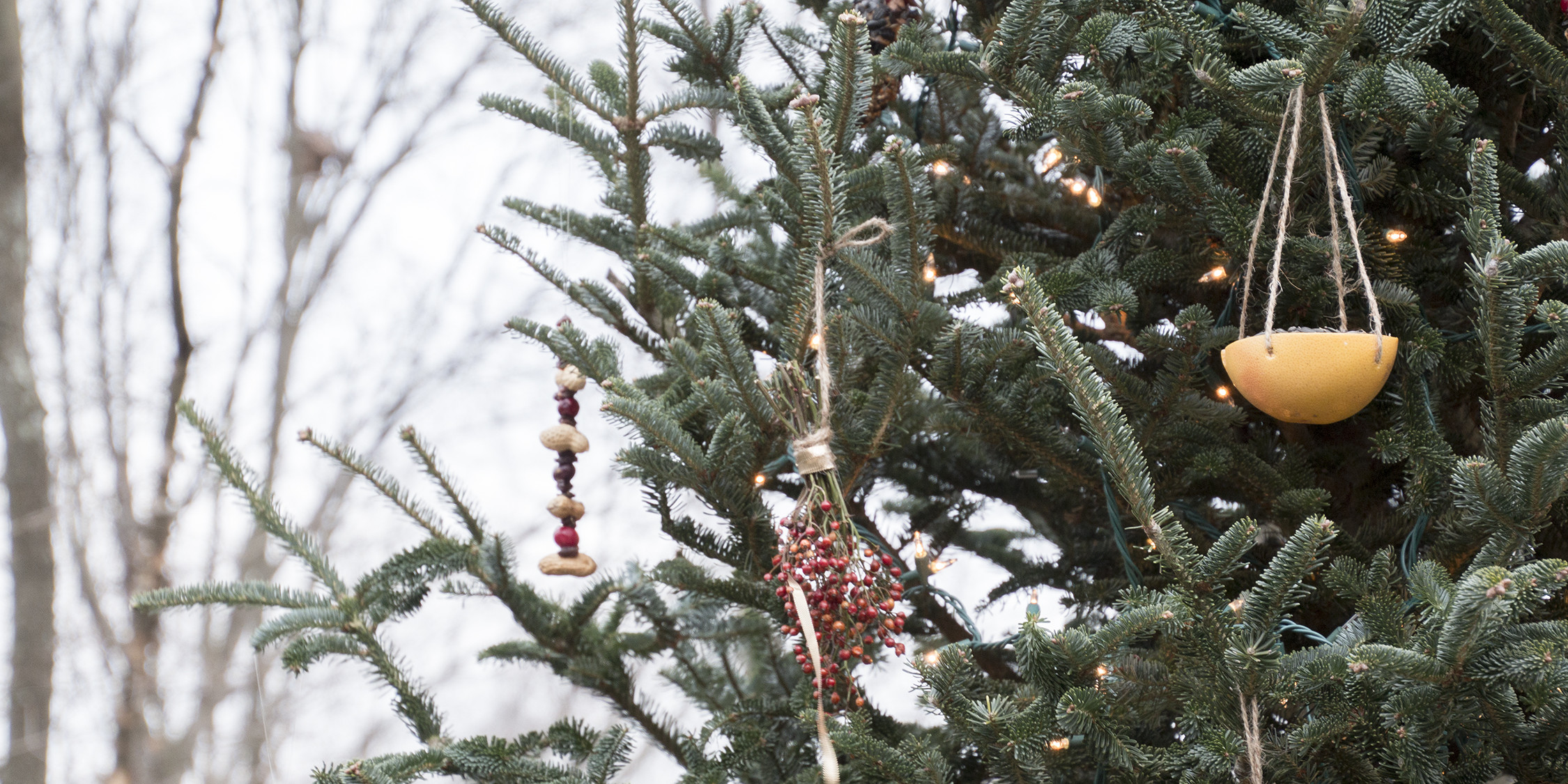 Homemade Ornaments for Outdoors Make a Birdfriendly Christmas Tree