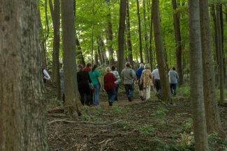 haiku walk grand opening