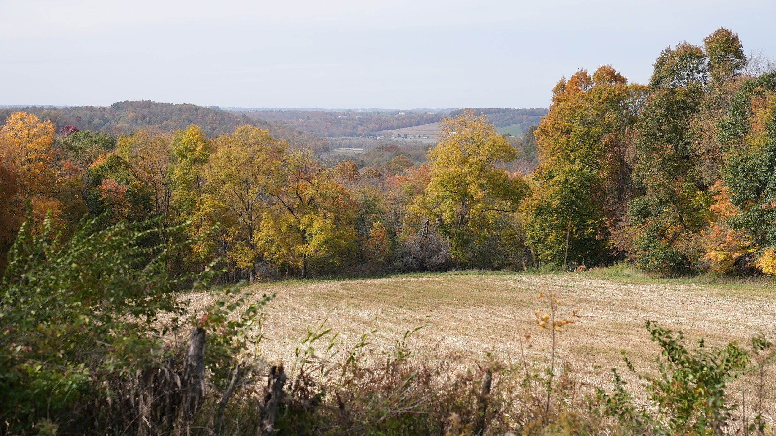 Letter from Jason – March 2026 - The Inn At Honey Run